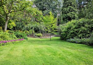Optimiser l'expérience du jardin à Saint-Bonnet-les-Tours-de-Merle
